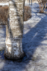 Similar image 22054817