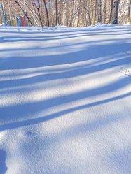 Similar image 22054818