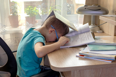 Similar image 22054830