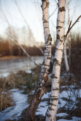 Similar image 22053027