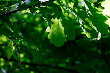 Similar image 22053028