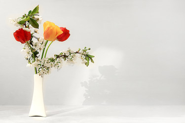 Similar image 22053187