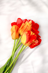 Similar image 22053209