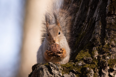 Similar image 22053459