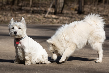 Similar image 22053462