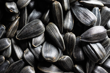 Similar image 22053475