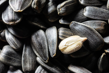 Similar image 22053696