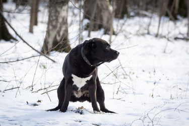 Similar image 22053702