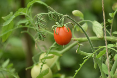 Similar image 22053031