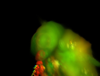 Similar image 22053924