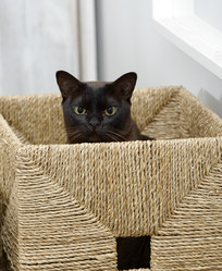 Similar image 22053033