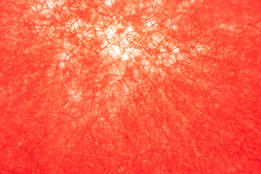 Similar image 22053491