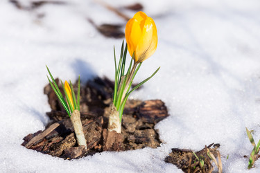 Similar image 22053494