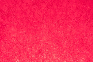 Similar image 22053501