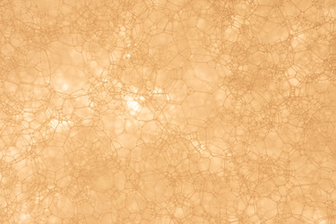 Similar image 22053505