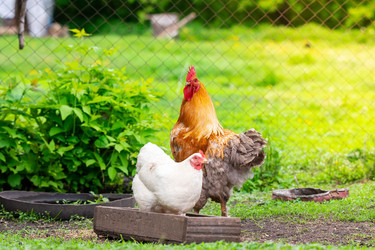 Similar image 22053526