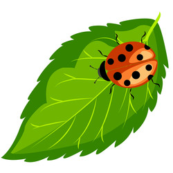 Similar image 22053093