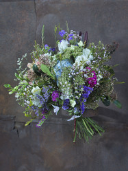 Similar image 22053108