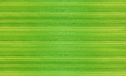 Similar image 22053195