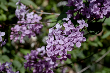 Similar image 22058362