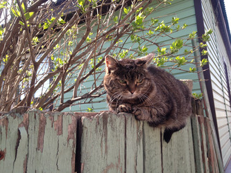 Similar image 22053215