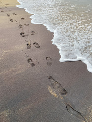 Similar image 22053216