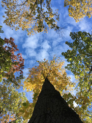 Similar image 22053217