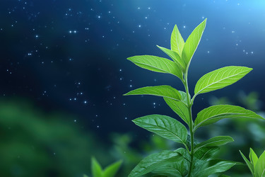 Similar image 22053256