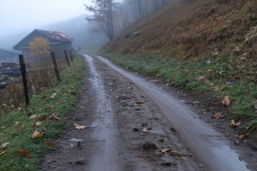 Similar image 22053267