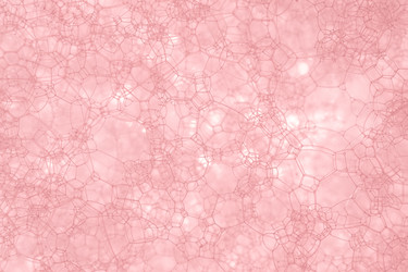 Similar image 22053542