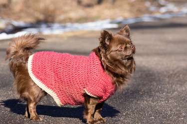 Similar image 22053559