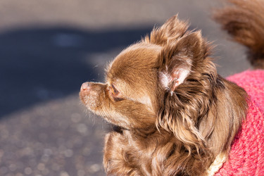 Similar image 22053567