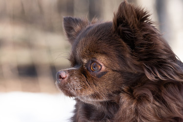 Similar image 22053725