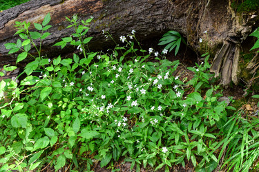 Similar image 22053240