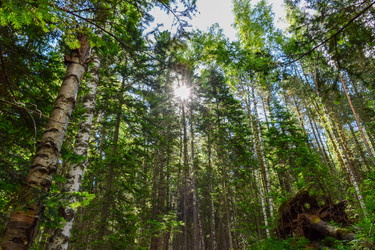 Similar image 22053241