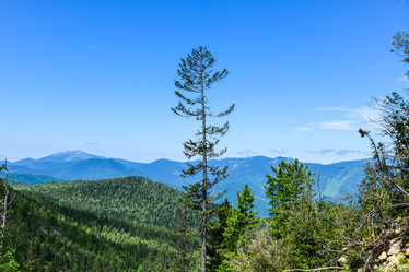 Similar image 22053283