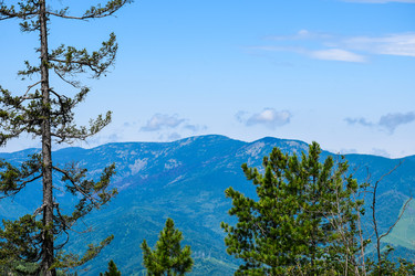 Similar image 22053284