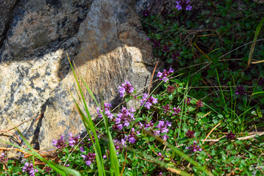 Similar image 22053288