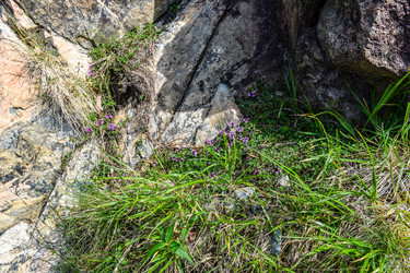 Similar image 22053289