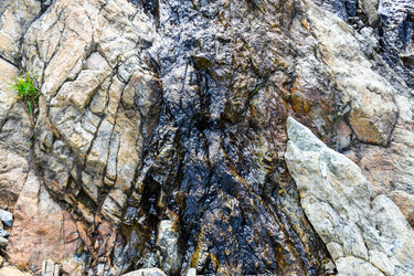 Similar image 22053290