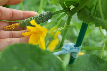 Similar image 22053302