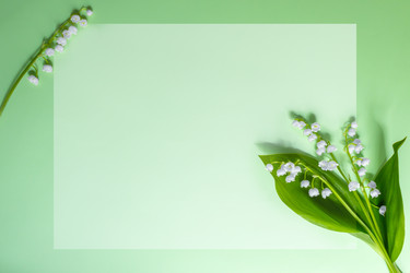 Similar image 22053307