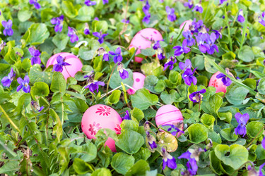 Similar image 22053309