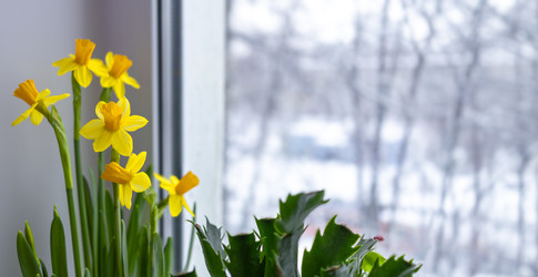 Similar image 22053313