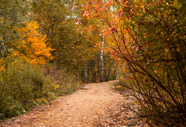 Similar image 22053316