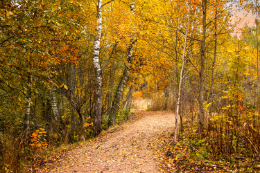 Similar image 22053318