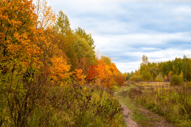 Similar image 22053322