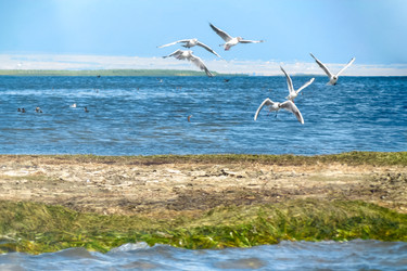 Similar image 22053323