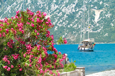 Similar image 22053325