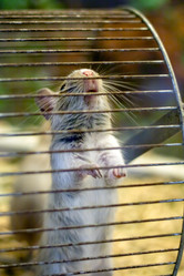 Similar image 22053326